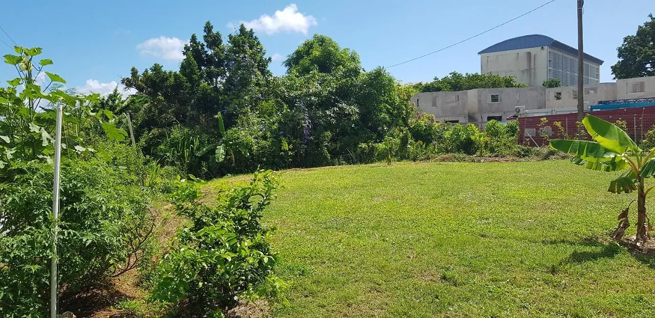 Campsite Camping Au Soleil De Blachon Hotel Lamentin Guadeloupe